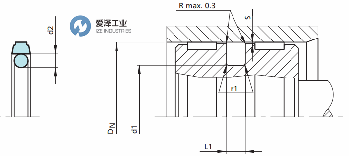 TRELLEBORG（B+S）格莱圈PT系列 爱泽工业ize-industries (2).png