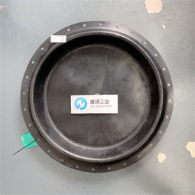 FISHER膜片2N130902202 爱泽工业 izeindustries (1).JPG