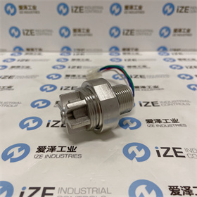 GASTRON传感器GSA860EX-G3 爱泽工业 izeindustries (3).JPG