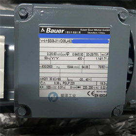 BAUER减速机BS06-31VD08LA62-ZW 爱泽工业 izeindustries (4).jpg