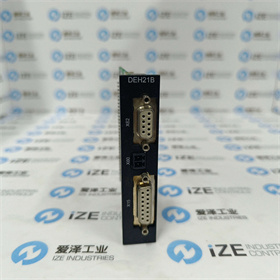 sew模块DEH21B 爱泽工业 izeindustries (2).jpg