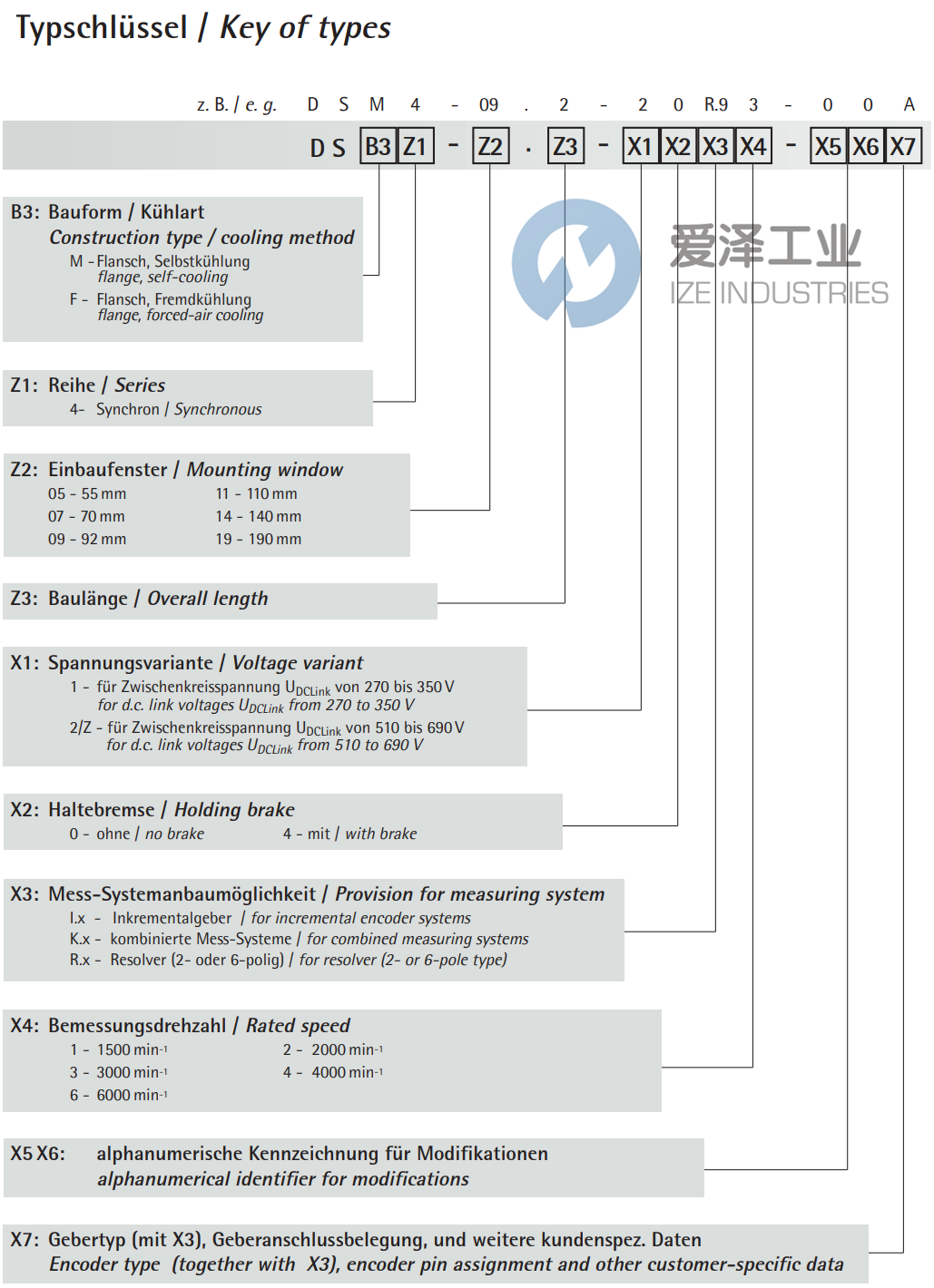 DRESDEN电机DSM 4-05.4-20R.96-6LN 爱泽工业 ize-industries (2).png