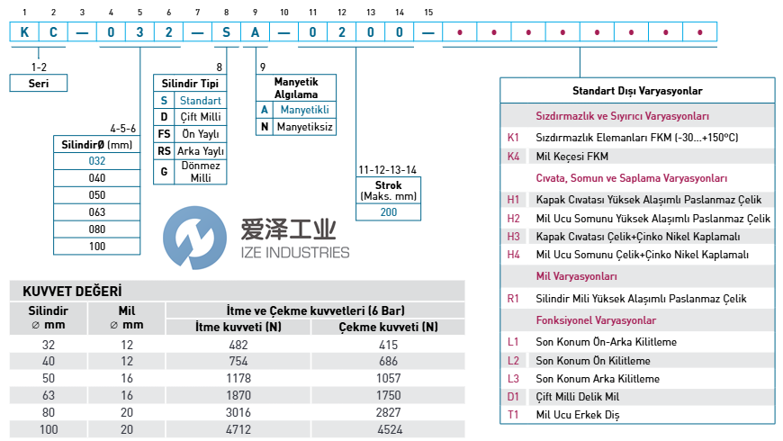 PEMAKS气缸KC-050-DA-0010-K1-M3(M8)爱泽工业 izeindustries.png PEMAKS气缸KC-050-DA-0010-K1-M3(M8)爱泽工业 izeindustries.png