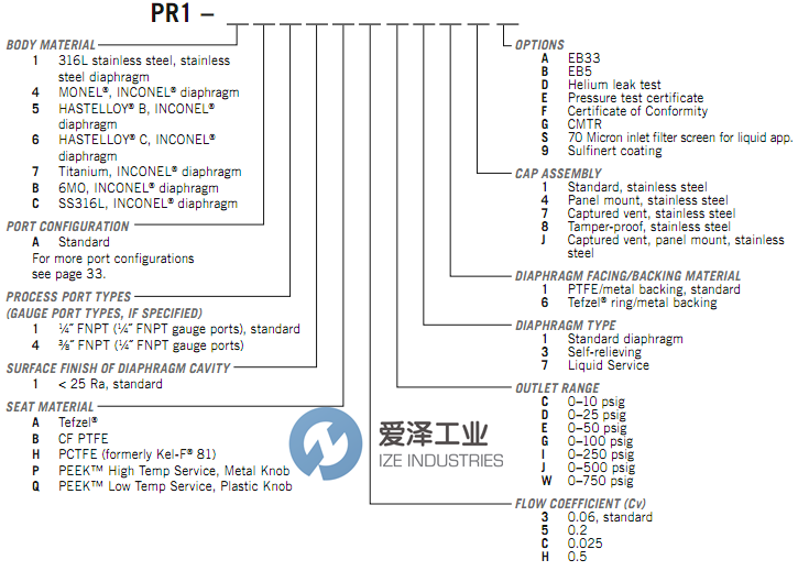 GO REGULATOR调节器PR1-1B11A3C111E爱泽工业izeindustries.png