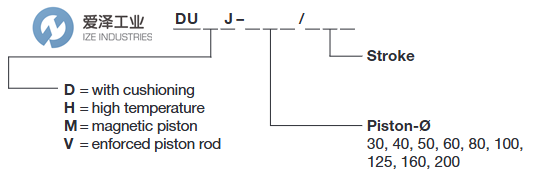 JOYNER气缸DUDJ-60100&nbsp;J112000600100爱泽工业izeindustries.png