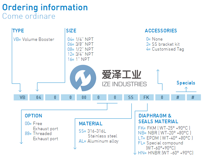 SITECNA增压器VB12000000ALLT0爱泽工业 izeindustries.png